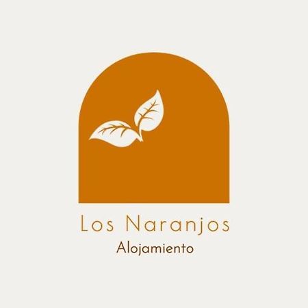 Alojamiento Los Naranjos Piscina Y Parking Gratuito Jaen Ngoại thất bức ảnh